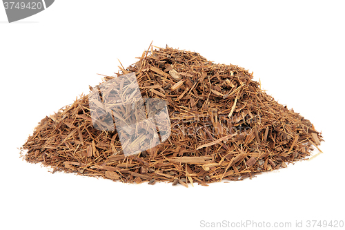 Image of Catuaba Bark Herb