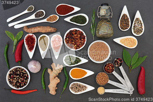 Image of Culinary Herbs and Spices 