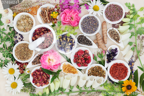 Image of Alternative Herbal Medicine