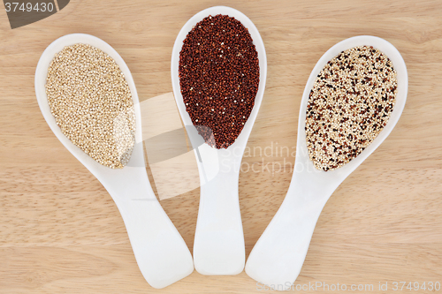Image of Quinoa Varieties