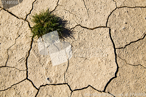 Image of brown dry sand in sahara desert bush