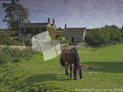 Image of House and a horse