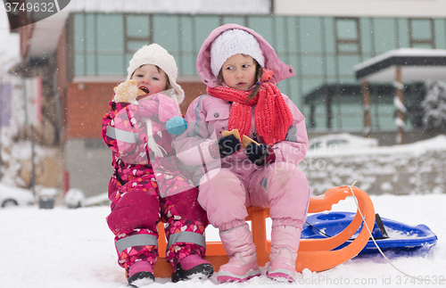 Image of portrait of two little grils sitting together on sledges