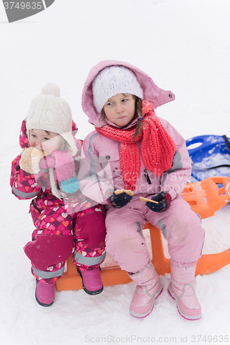 Image of portrait of two little grils sitting together on sledges