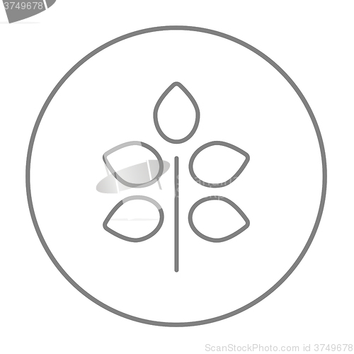 Image of Branch with leaves line icon.