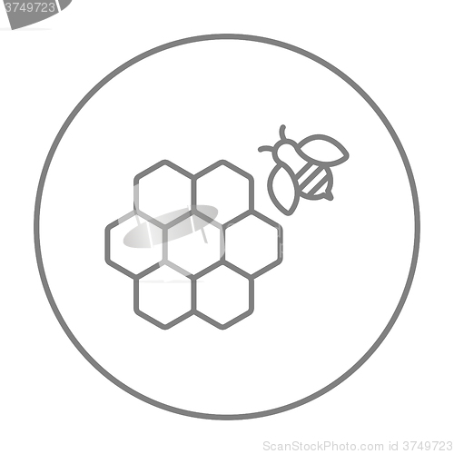 Image of Honeycomb and bee line icon.