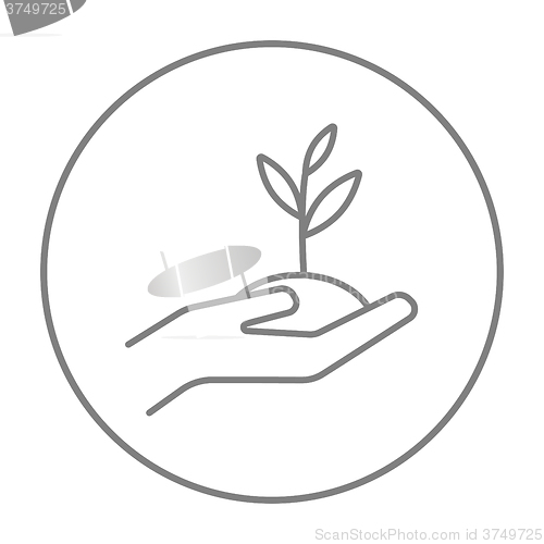 Image of Hands holding seedling in soil line icon.