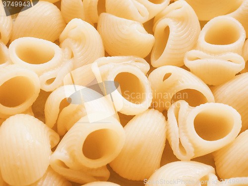 Image of Retro looking Lumache pasta food