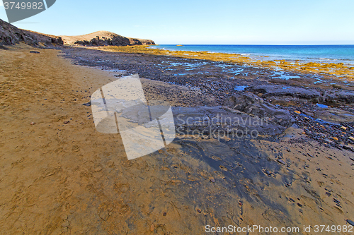 Image of white coast lanzarote  in spain     and summer 