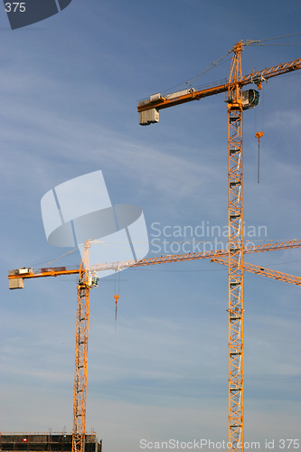 Image of Cranes