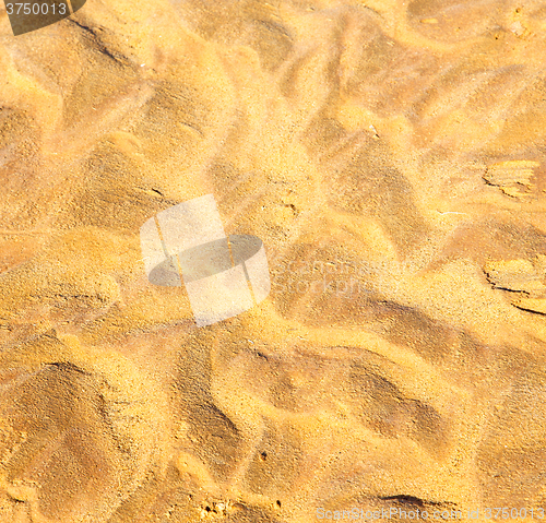 Image of brown dry sand in sahara desert morocco africa erosion and abstr