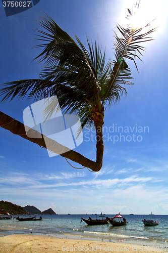 Image of sun ligt asia   the   tao bay isle white  beach    rocks  boat  