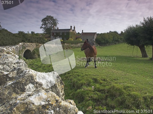 Image of Countryside Scene