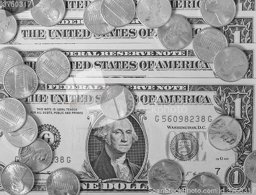 Image of Black and white Dollar coins and notes