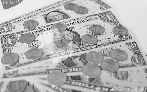 Image of Black and white Dollar coins and notes