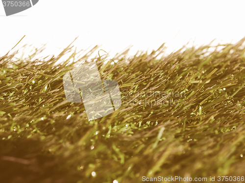 Image of  Artificial grass vintage