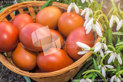 Image of Easter eggs in a wicker basket and snowdrops.