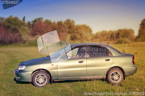 Image of The car on the green lawn.