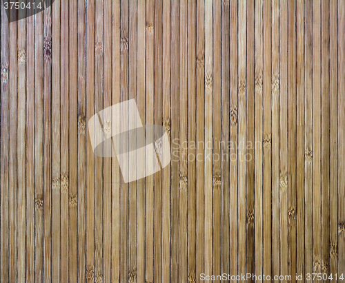 Image of Background image: detail from mural of bamboo.