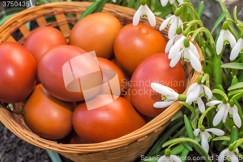 Image of Easter eggs in a wicker basket and snowdrops.