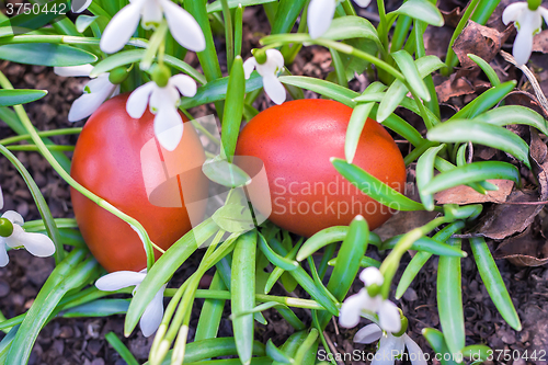 Image of Two Easter eggs and snowdrops.