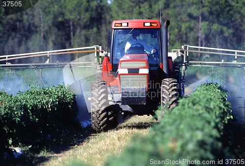 Image of Crop Spraying