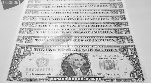 Image of Black and white Dollar notes 1 Dollar