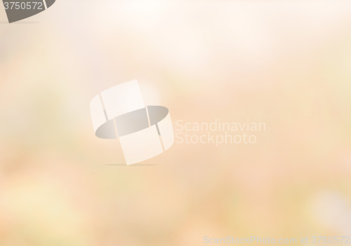 Image of  Abstract blur background vintage