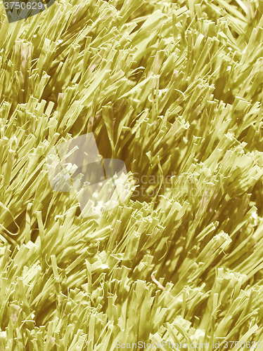 Image of  Artificial meadow vintage