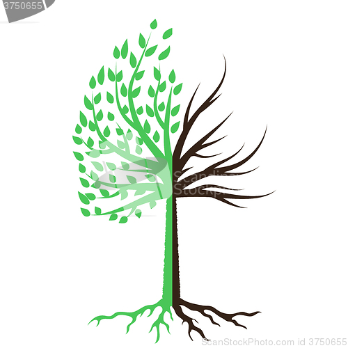 Image of Tree Silhouette Icon