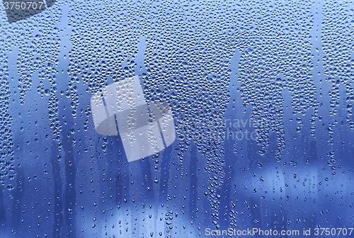 Image of Water drops on glass