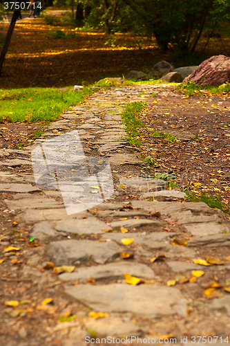 Image of stone path in autumn park