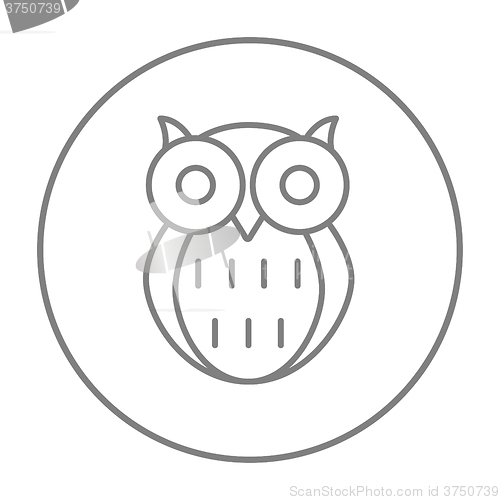 Image of Owl line icon.