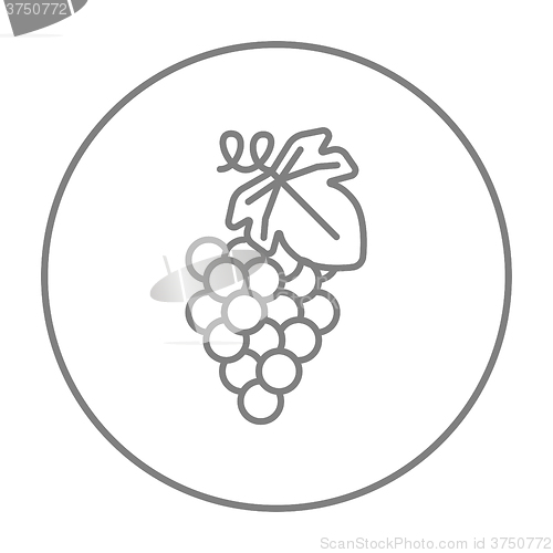 Image of Grape line icon.