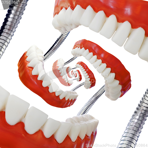 Image of Droste Denture Model Cutout