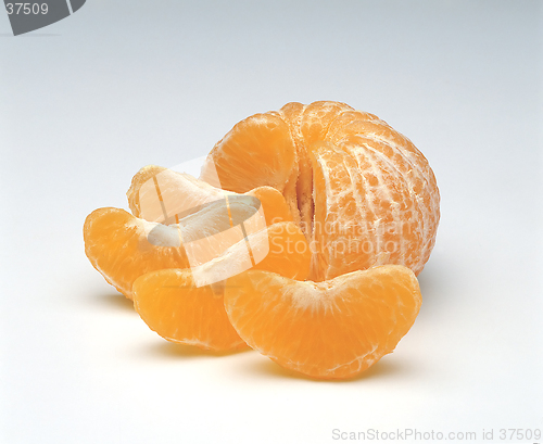 Image of Orange