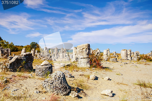 Image of Stone Forest