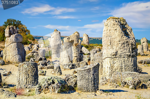 Image of Stone Forest