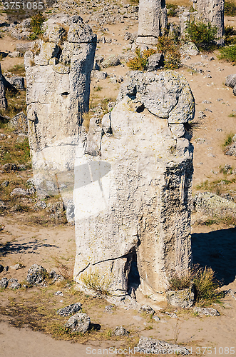 Image of Stone Forest
