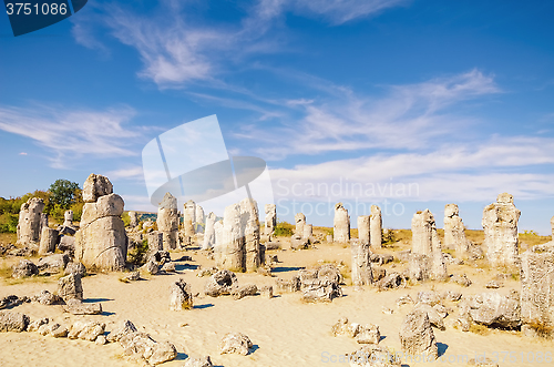 Image of Stone Forest