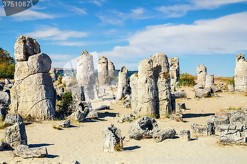 Image of Stone Forest