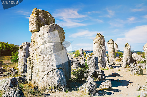 Image of Stone Forest