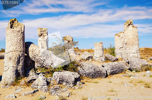 Image of Stone Forest