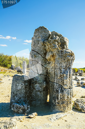 Image of Stone Forest
