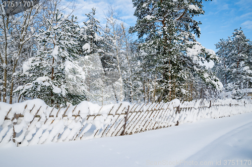 Image of Snow-covered landscape in the countryside. Viitna, Estonia