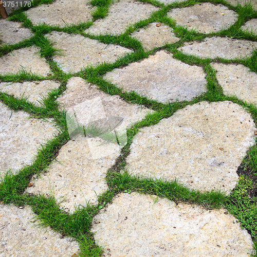 Image of Track of the limestone slabs in the garden