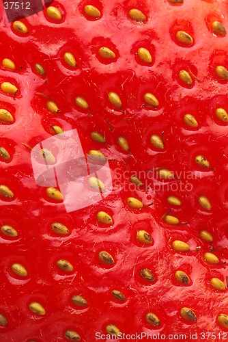Image of Strawberry