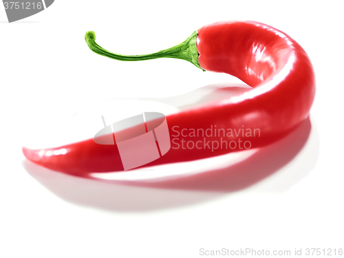 Image of Fresh Red Hot Chili Pepper.