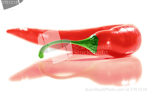 Image of Fresh Red Hot Chili Pepper.