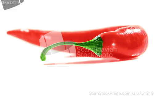 Image of Fresh Red Hot Chili Pepper.